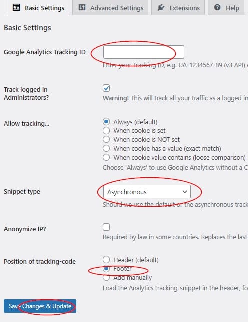 CAOS | Host Google Analytics Locallyの設定方法